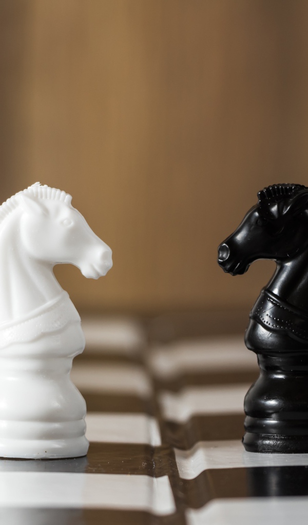 Черный и белый шахматный конь