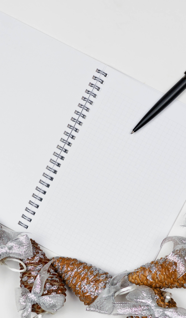 Еловые шишки на столе с блокнотом и ручкой