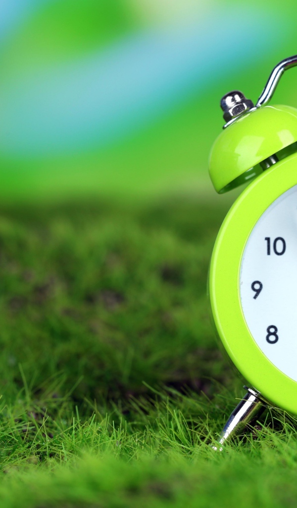 Зеленый будильник стоит на траве