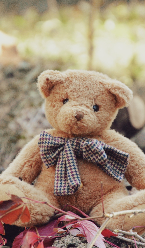 Маленький плюшевый мишка сидит на земле 