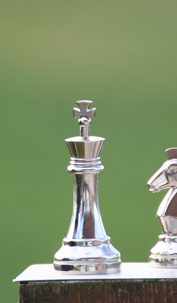 Металлические шахматные фигуры крупным планом