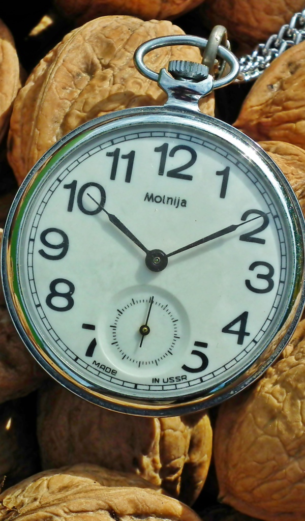 Карманные часы с грецкими орехами 