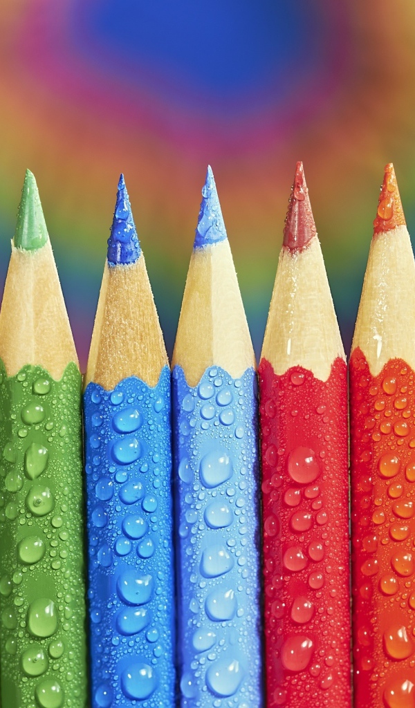 Острые разноцветные  карандаши в каплях росы 