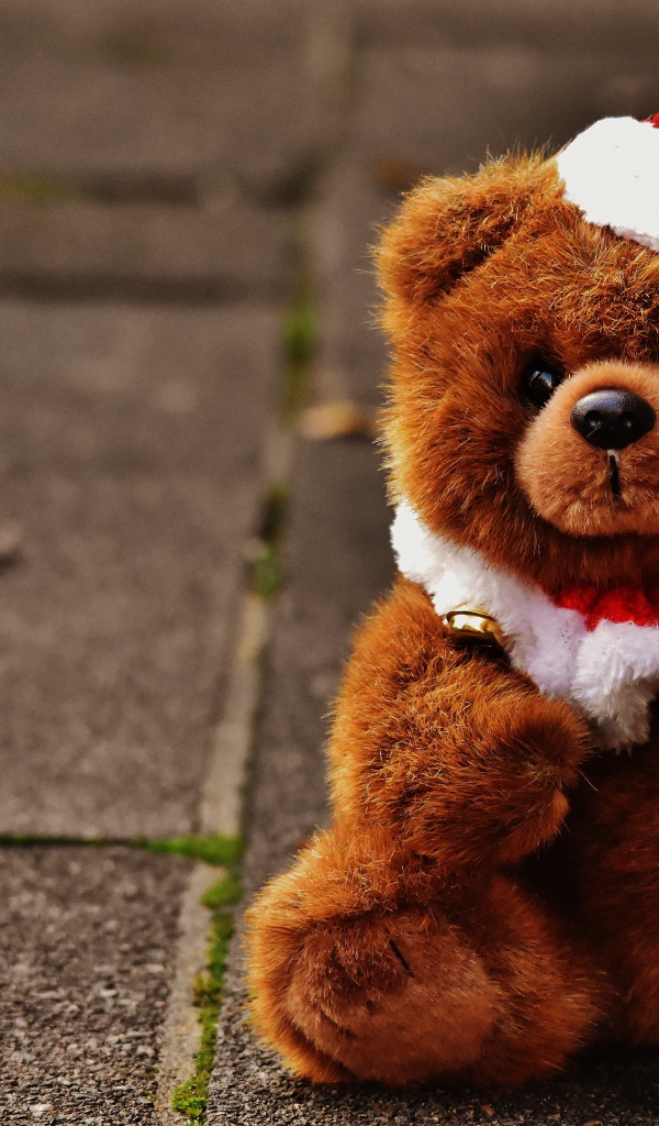 Плюшевый мишка в новогоднем колпаке 