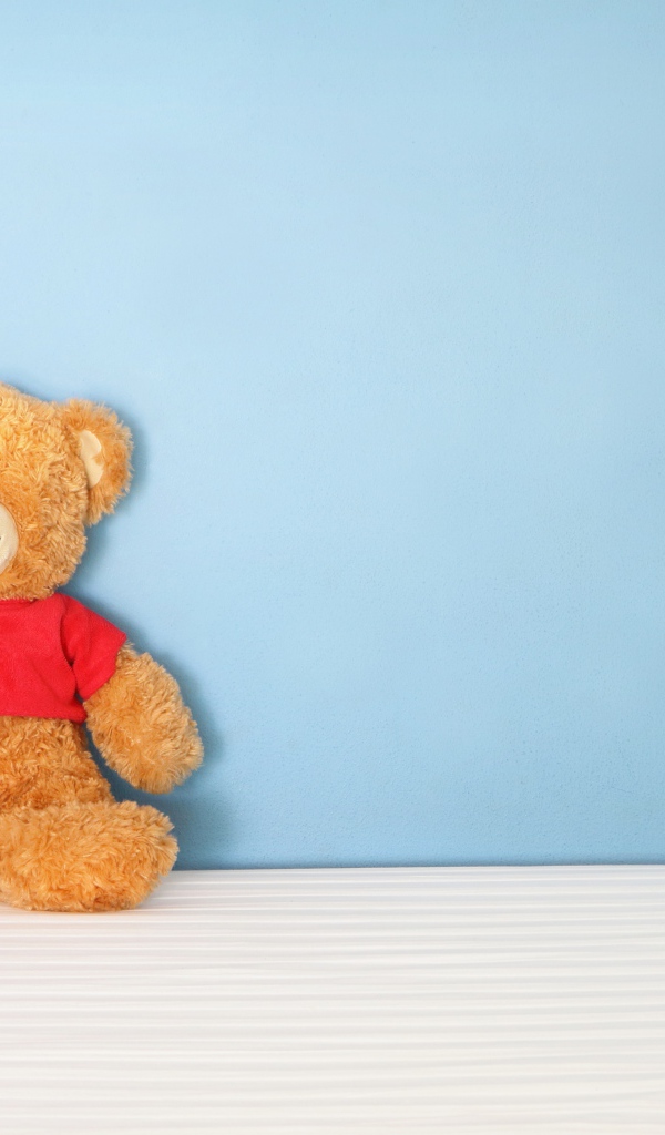 Плюшевый мишка на фоне голубой стены