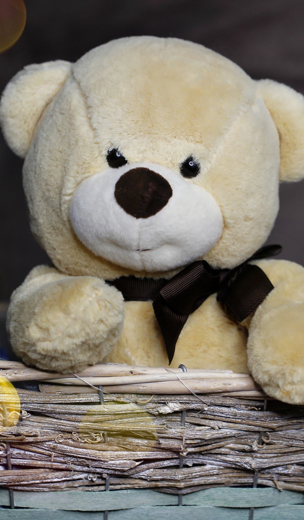 Плюшевый медведь сидит в корзине