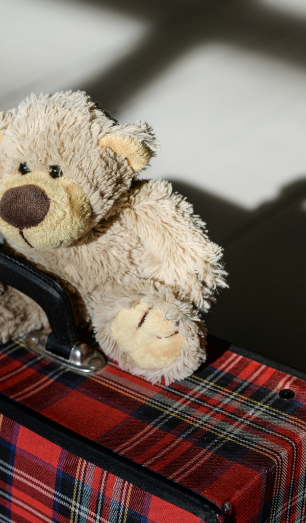 Медвежонок Тедди с большим чемоданом 
