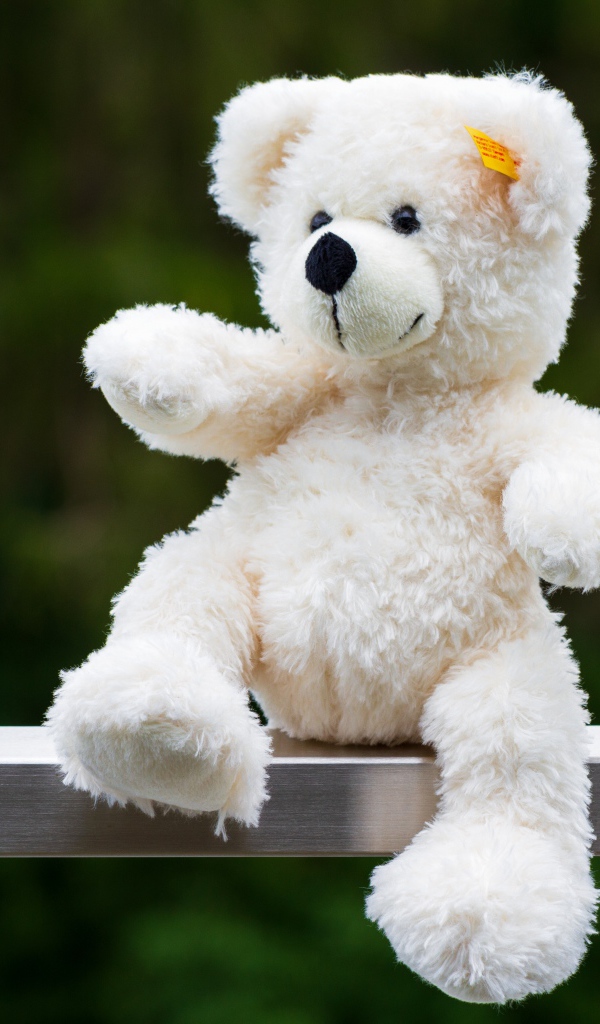 Белый плюшевый медведь сидит на деревянной доске