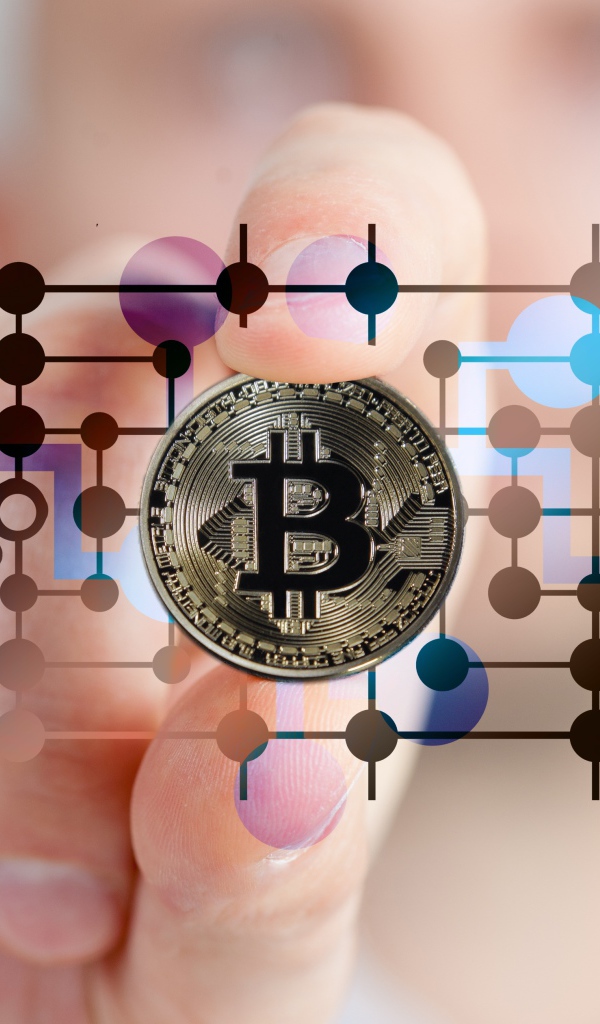 Bitcoin coin in the scheme