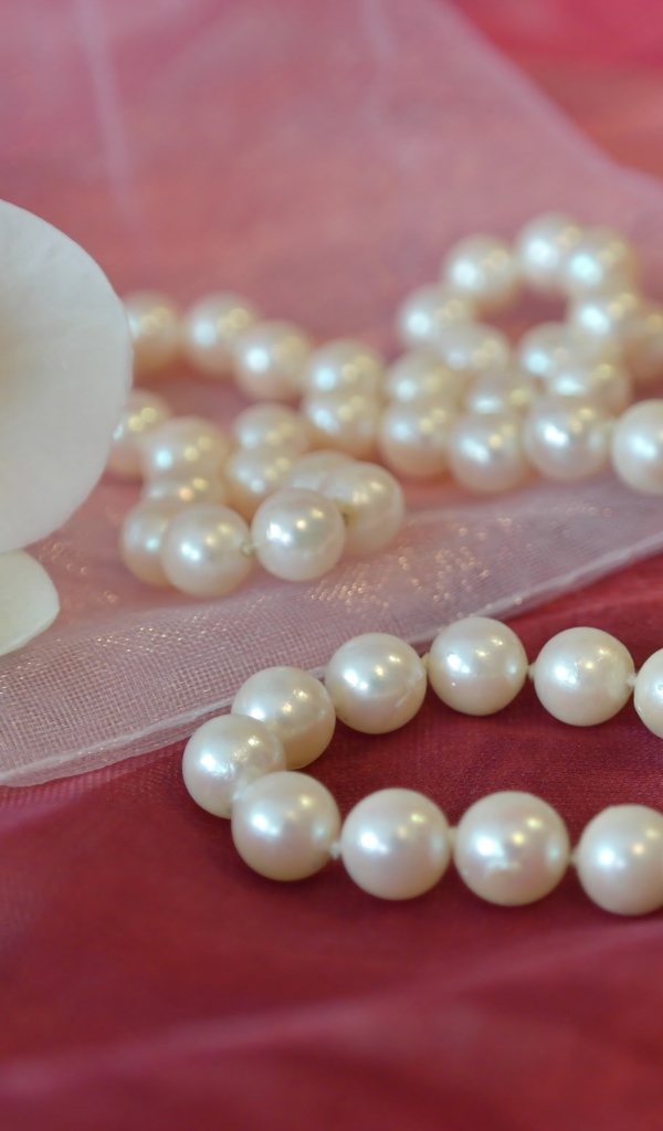 Красивое жемчужное ожерелье с цветком орхидеи