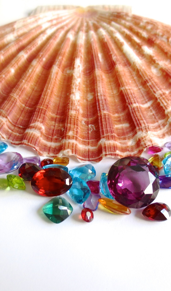 Ракушка и драгоценные камни на белом фоне