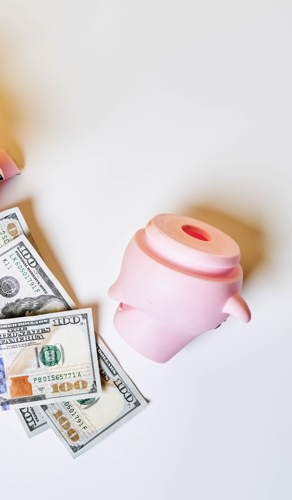 Свинья копилка с долларами на сером фоне 