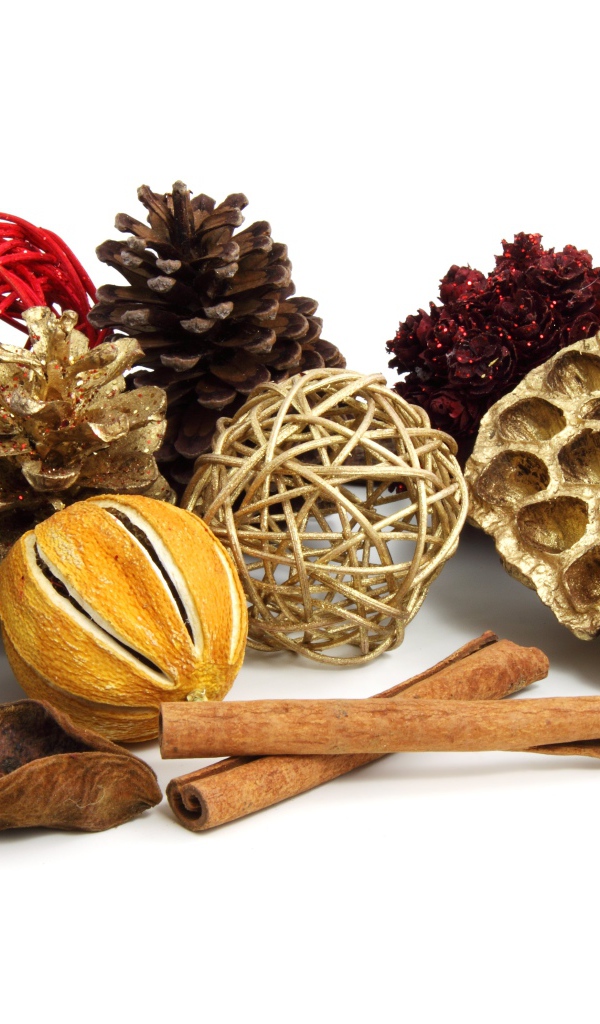 Ароматные специи и шишки на белом фоне 