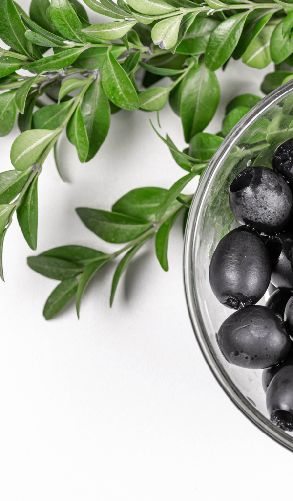 Черные маслины с веткой на белом фоне