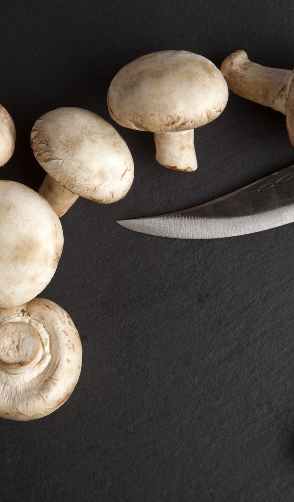 Шампиньоны на сером столе с ножом