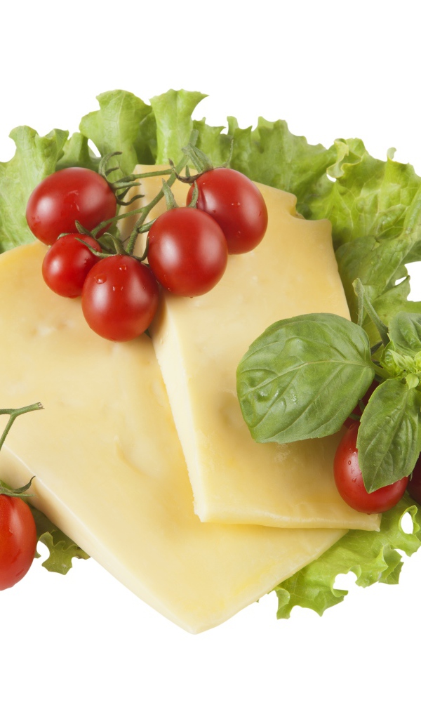 Сыр с помидорами, листьями салата и базиликом на белом фоне