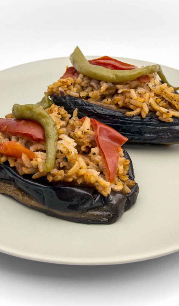 Блюдо из баклажанов с рисом на большой белой тарелке