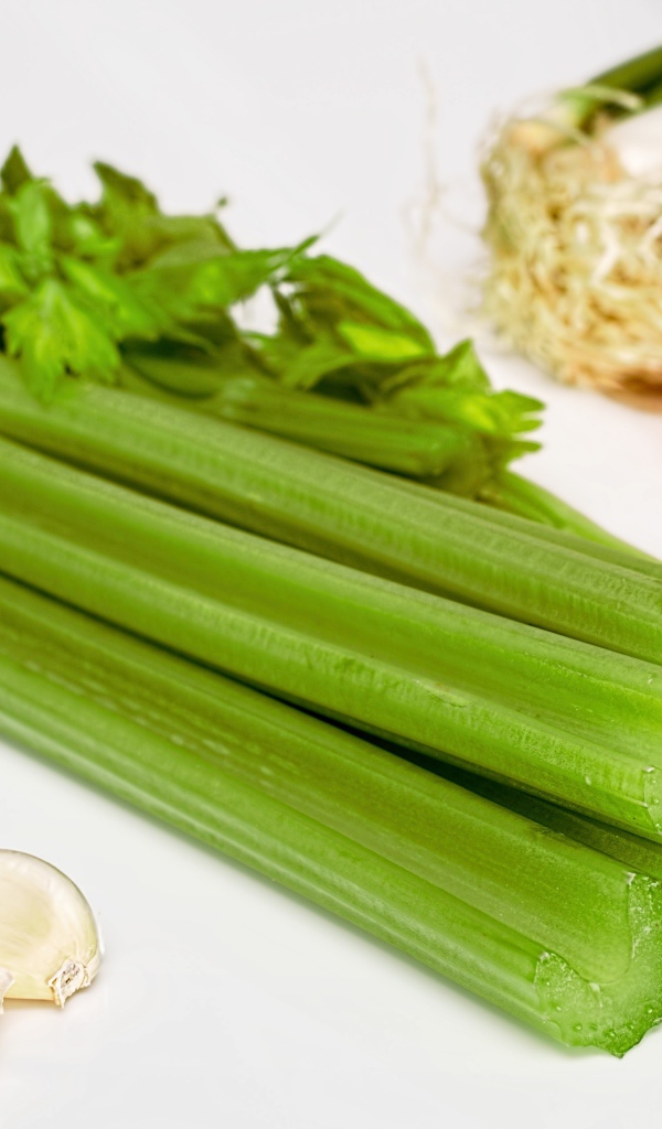 Свежий сельдерей на столе 