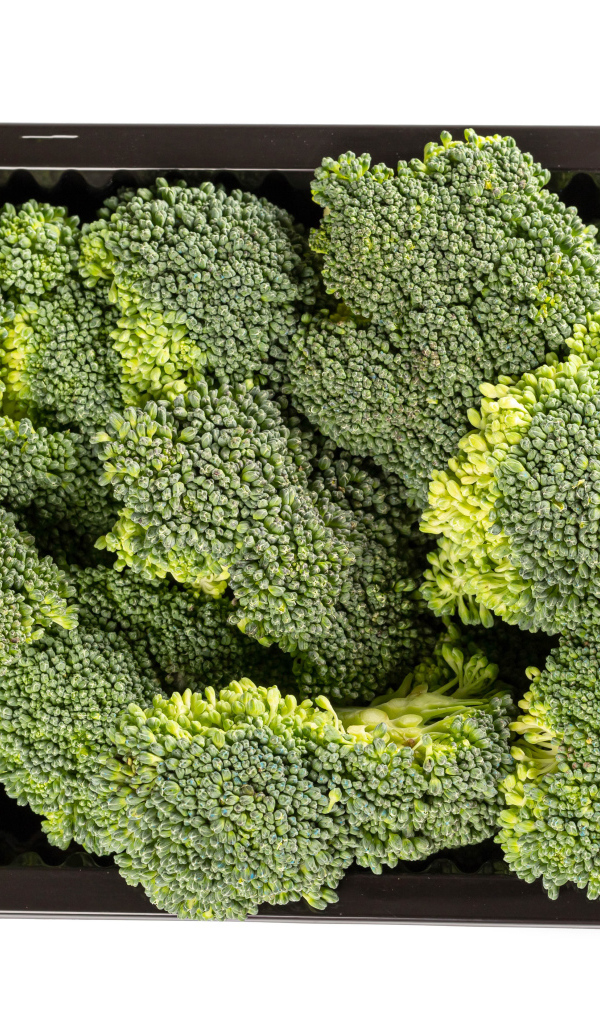 Зеленые брокколи в черной форме на белом фоне 