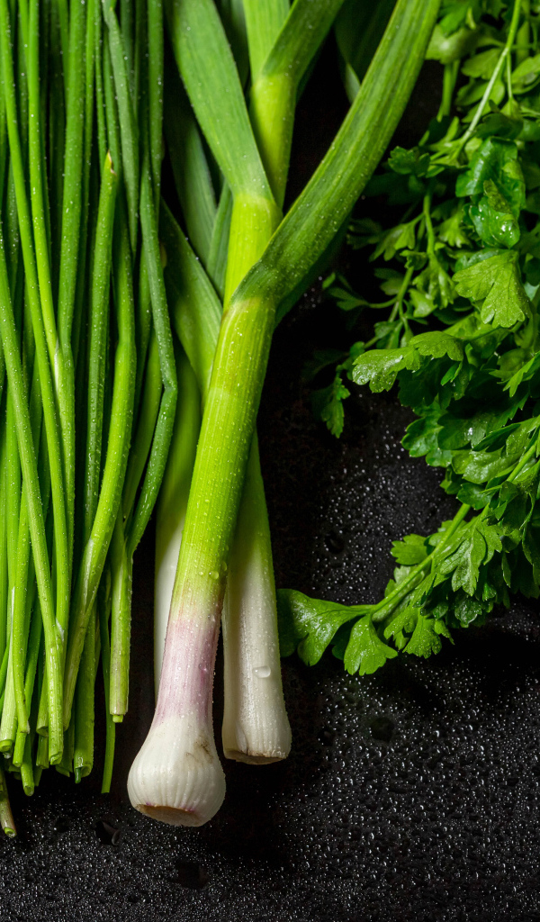 Зеленый лук с петрушкой и укропом на черном столе 