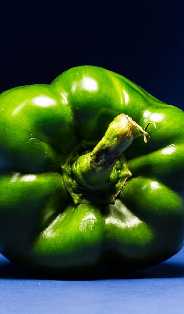 Зеленый перец паприка на синем фоне