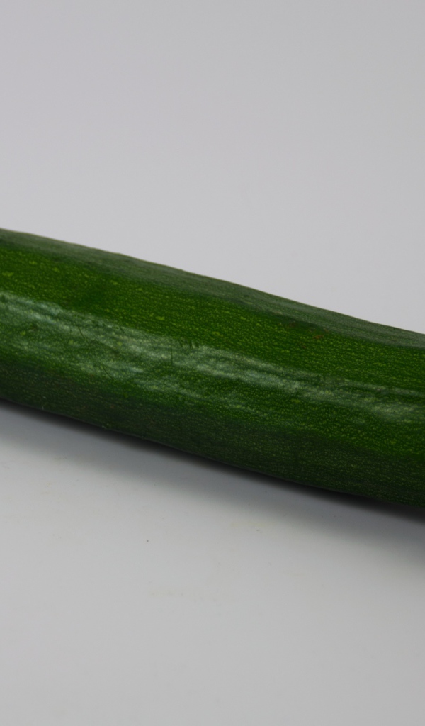 Зеленый кабачок на сером фоне