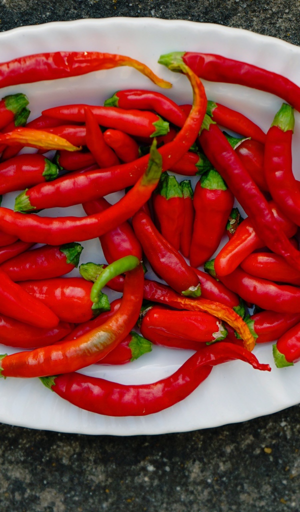 Острый красный перец чили на большой белой тарелке