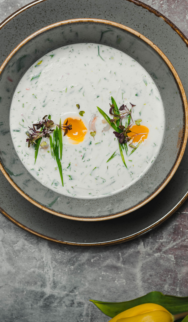 Окрошка на столе с лимонами и тюльпаном