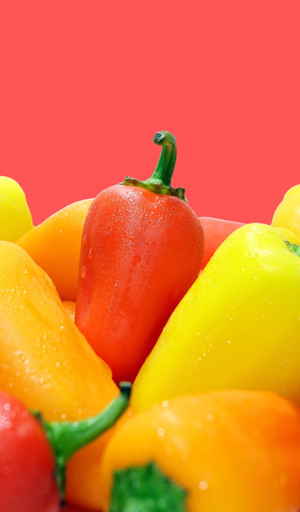 Красный и желтый перец на розовом фоне 