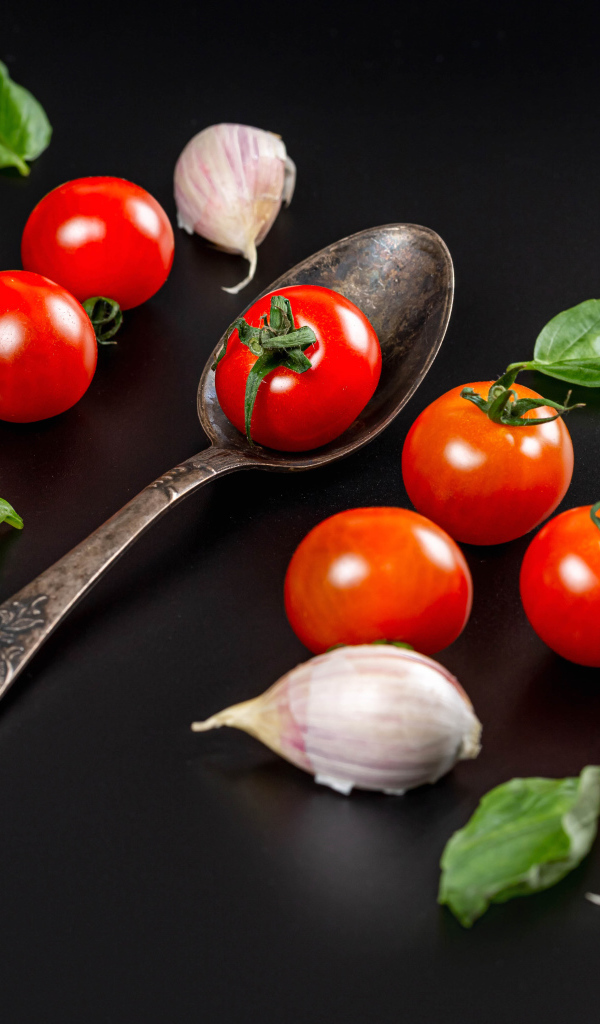 Красные помидоры с чесноком и листьями базилика на столе 