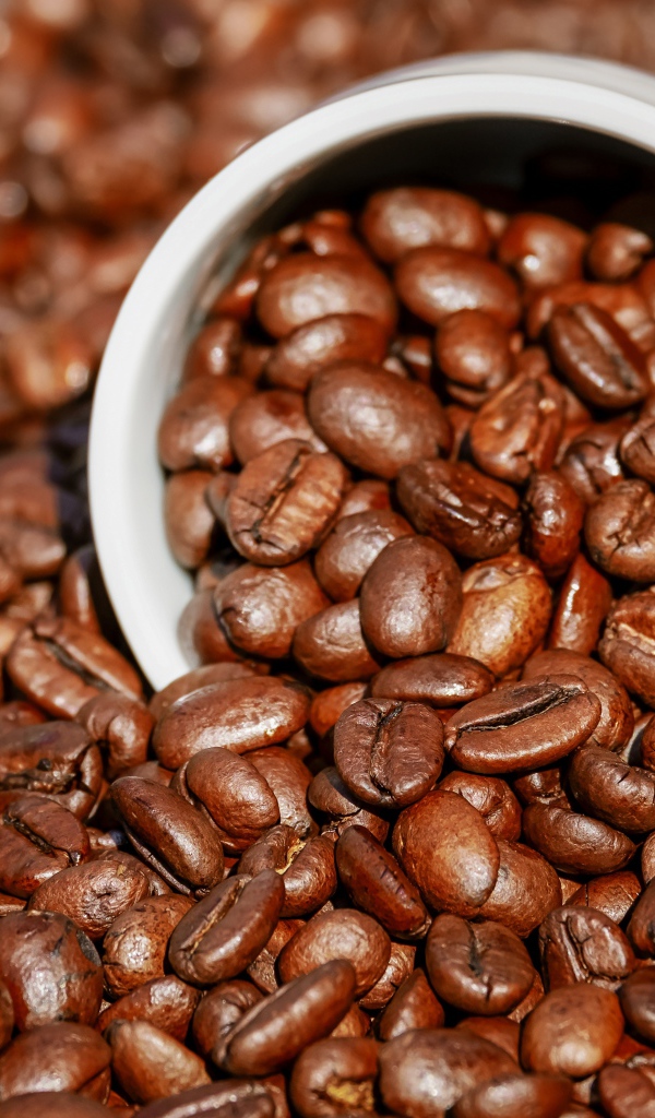 Обжаренные кофейные зерна на столе с чашкой