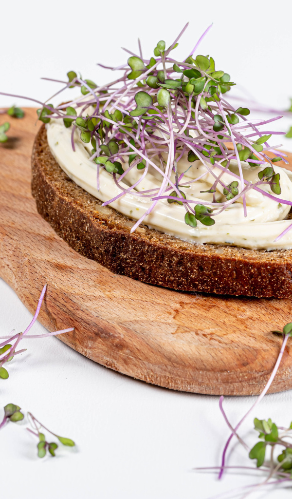 Бутерброд с соусом и зелеными ростками пшеницы