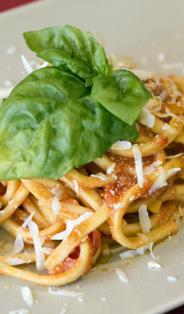 Спагетти с сыром и листьями базилика 