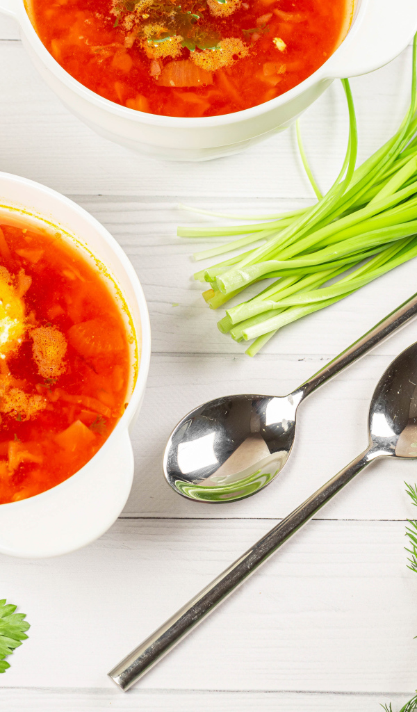 Две тарелки борща на столе с зеленью петрушки, луком и укропом