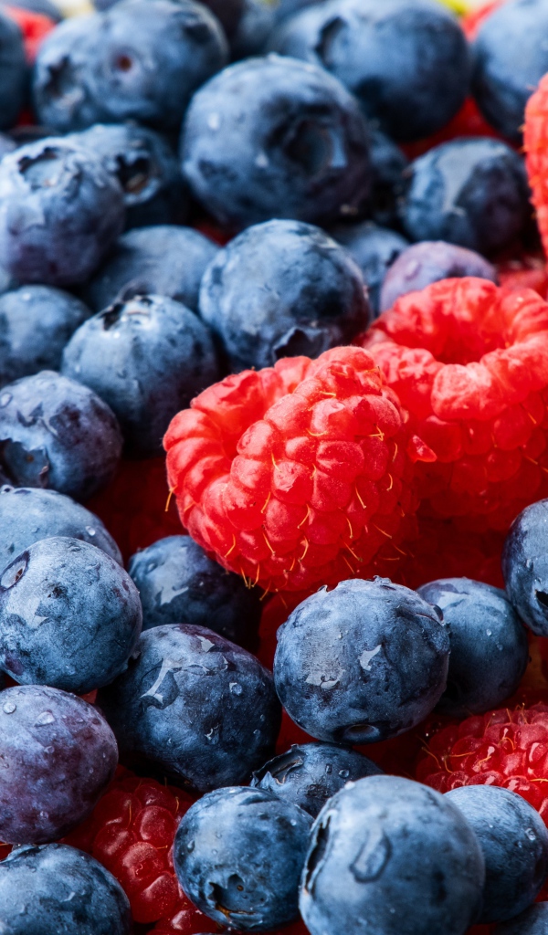 Синие ягоды черники и малины крупным планом