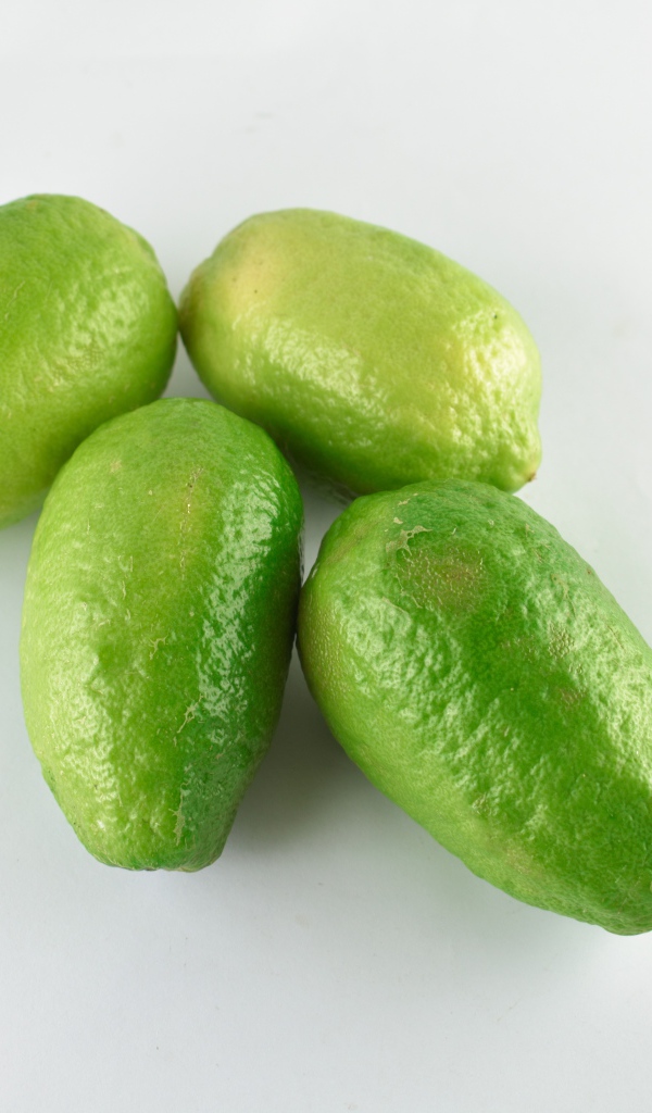 Четыре зеленых лимона на белом фоне