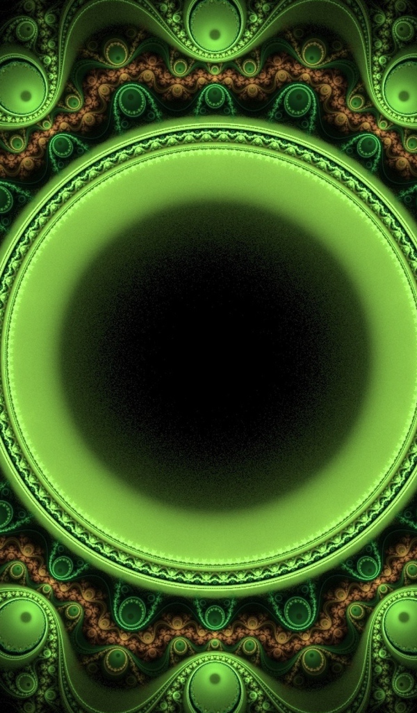 Зеленый лайм на ветке в каплях воды