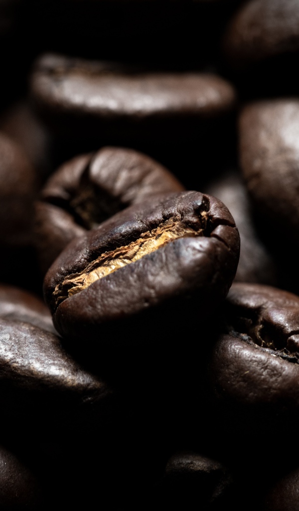 Жареные ароматные кофейные зерна 