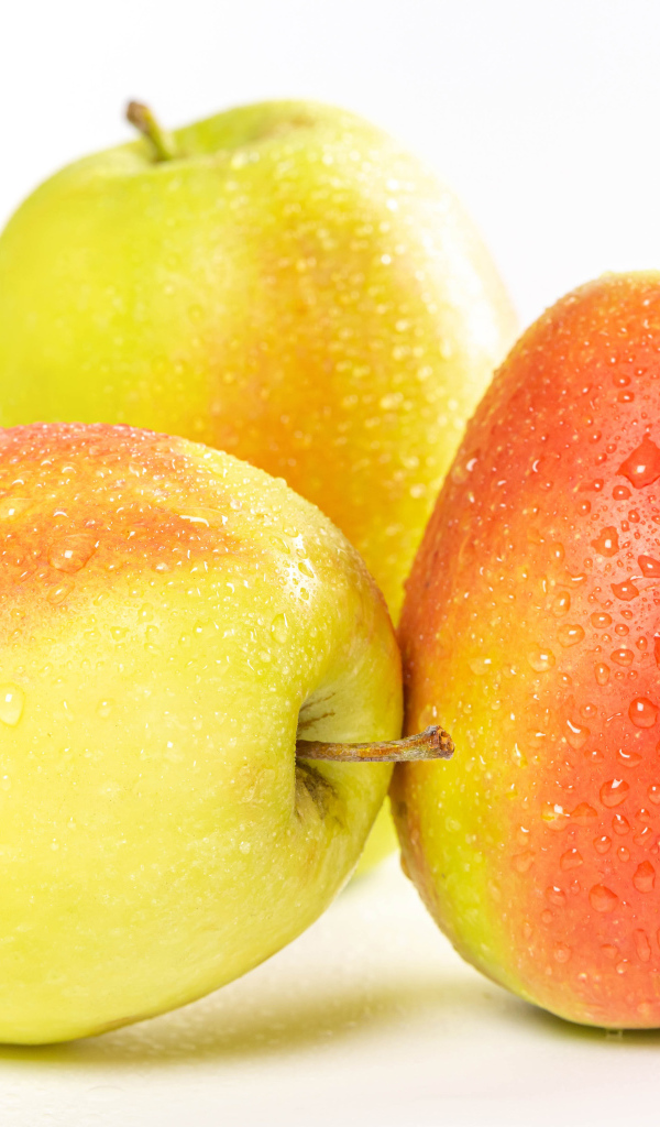 Три мокрых яблока на белом фоне