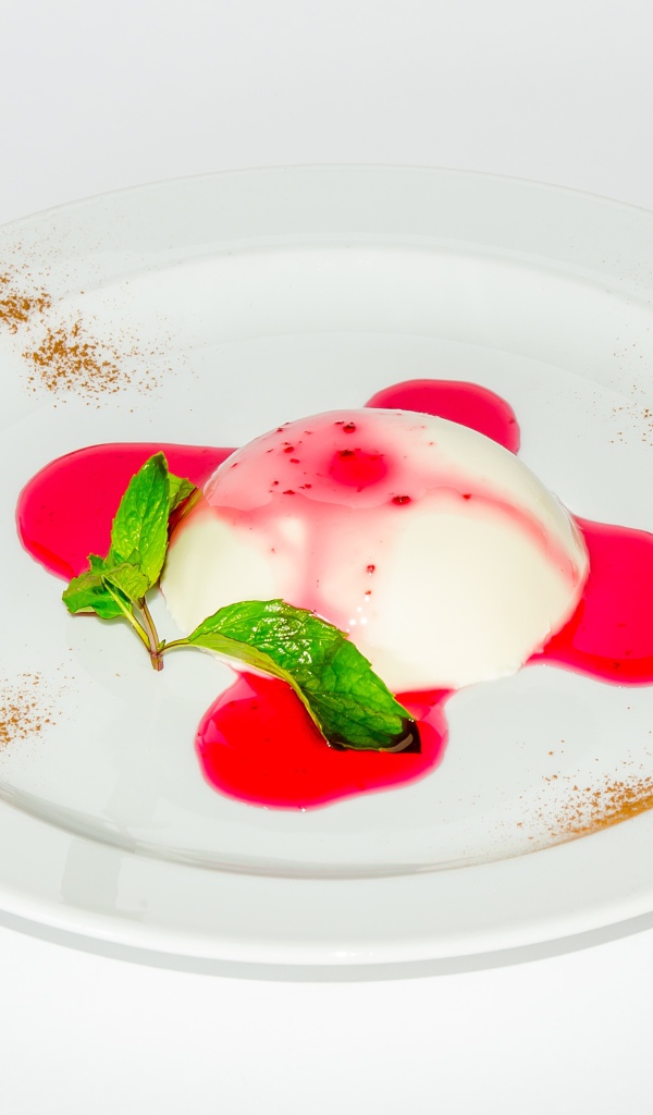 Молочное желе с джемом на белой тарелке 