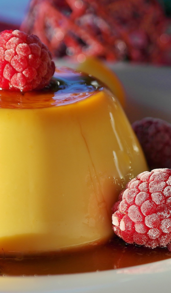 Молочное желе с сиропом и ягодами малины 