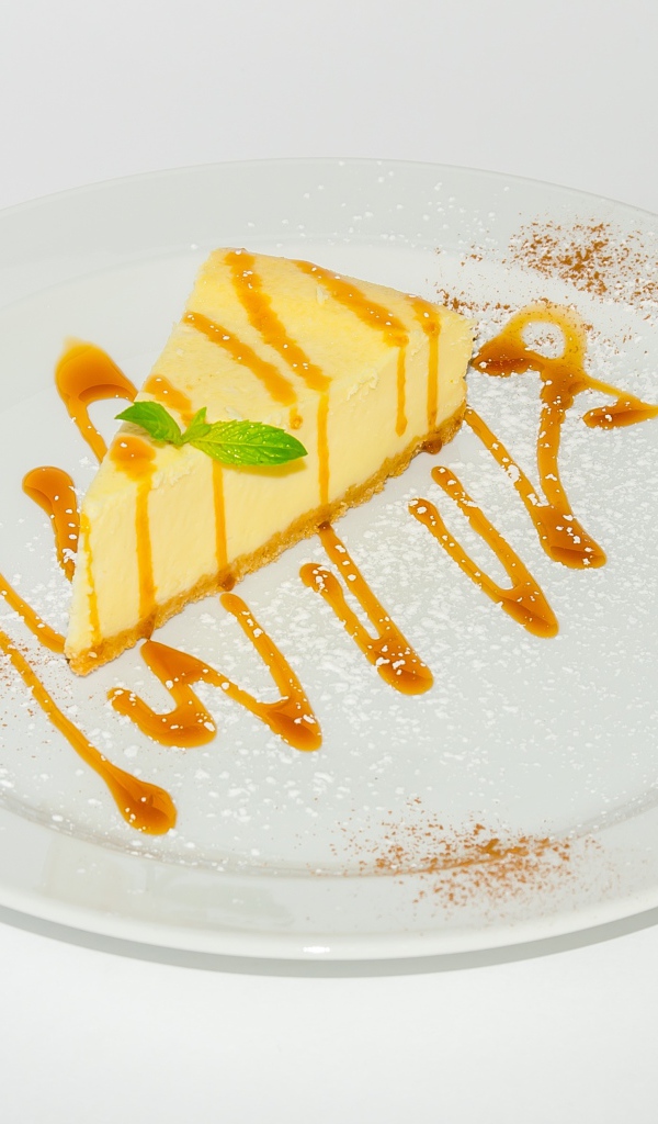 Кусок чизкейка с сиропом на большой белой тарелке 