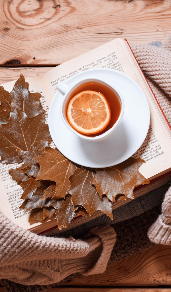 Чашка чая с лимоном на столе с книгой и теплой кофтой