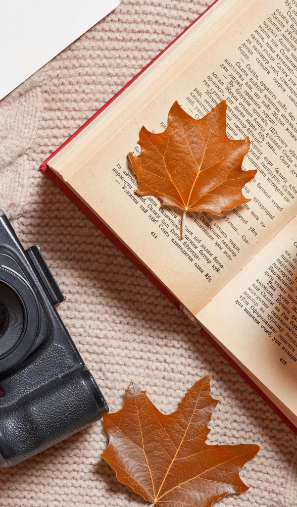 Книга с чашкой чая и фотоаппаратом на теплой кофте