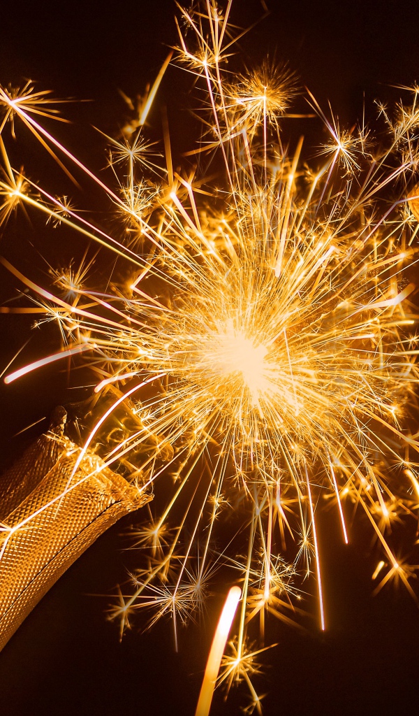 Бутылка шампанского с бенгальским огнем 