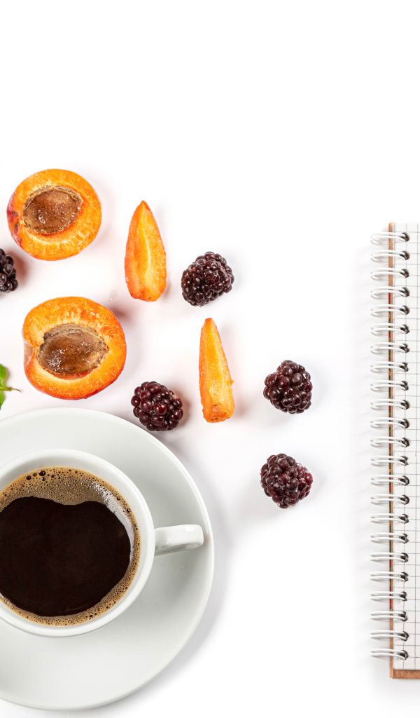 Чашка кофе, тетрадь, черника и абрикос на белом фоне