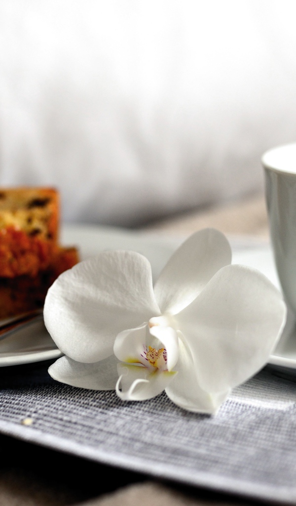 Чашка кофе на столе с цветком орхидеи и кусочками кекса 