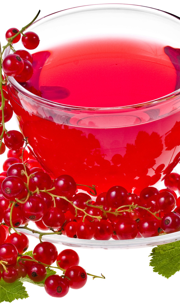 Красный чай на белом фоне с красной смородиной