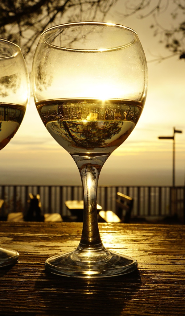 Два бокала белого вина на столе в лучах солнца