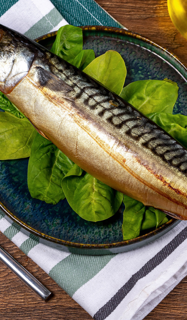 Large fat mackerel on a plate of basil
